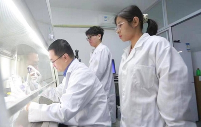 岱岳區實施“百名博士任科技副總”工程，構建校企合作橋梁推動生物技術研發